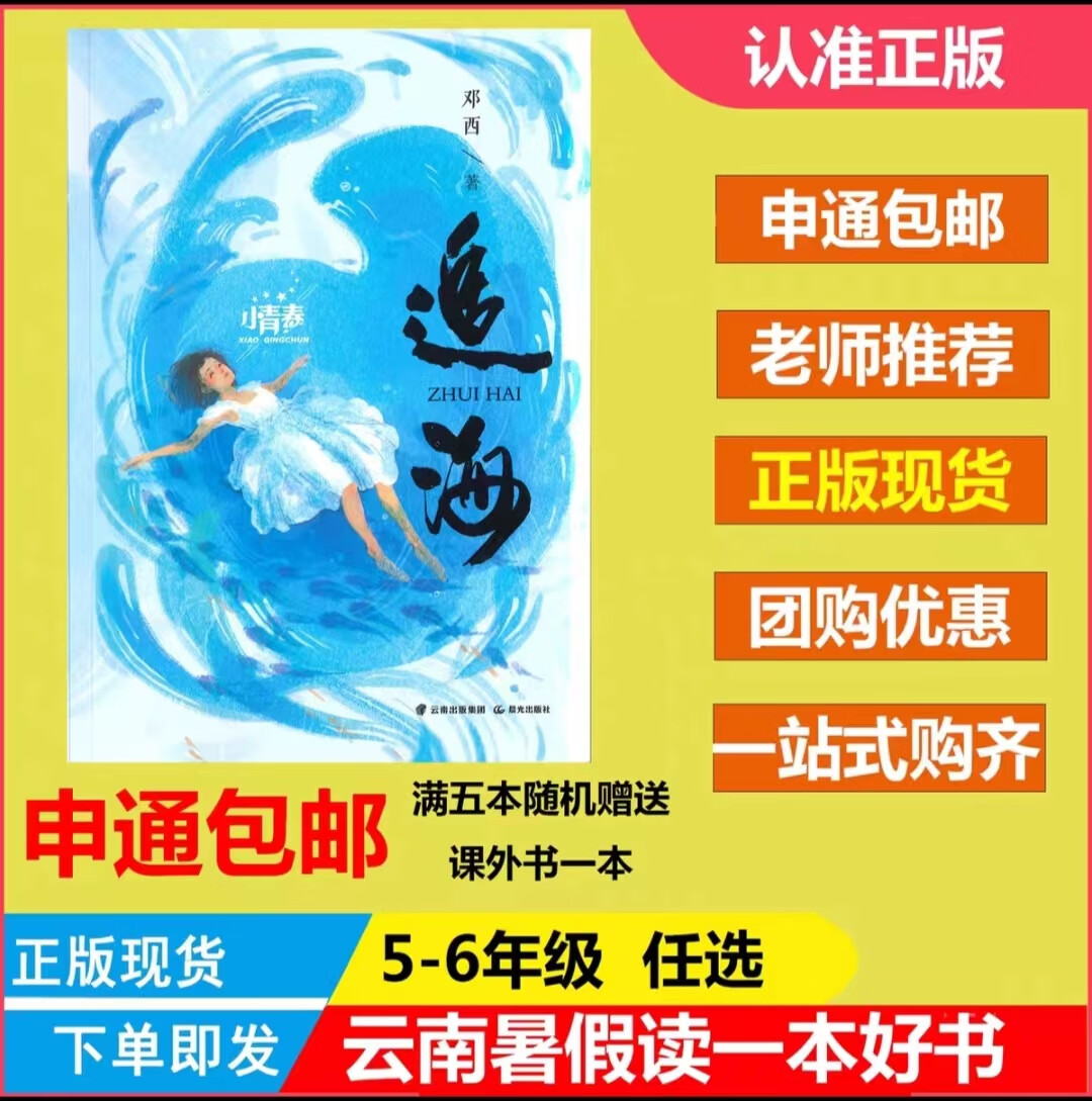 2023年小学生暑假必读课外书云边的歌团