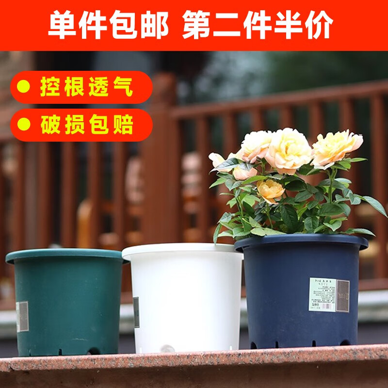 那个网站可以看花盆花器历史价格|花盆花器价格走势