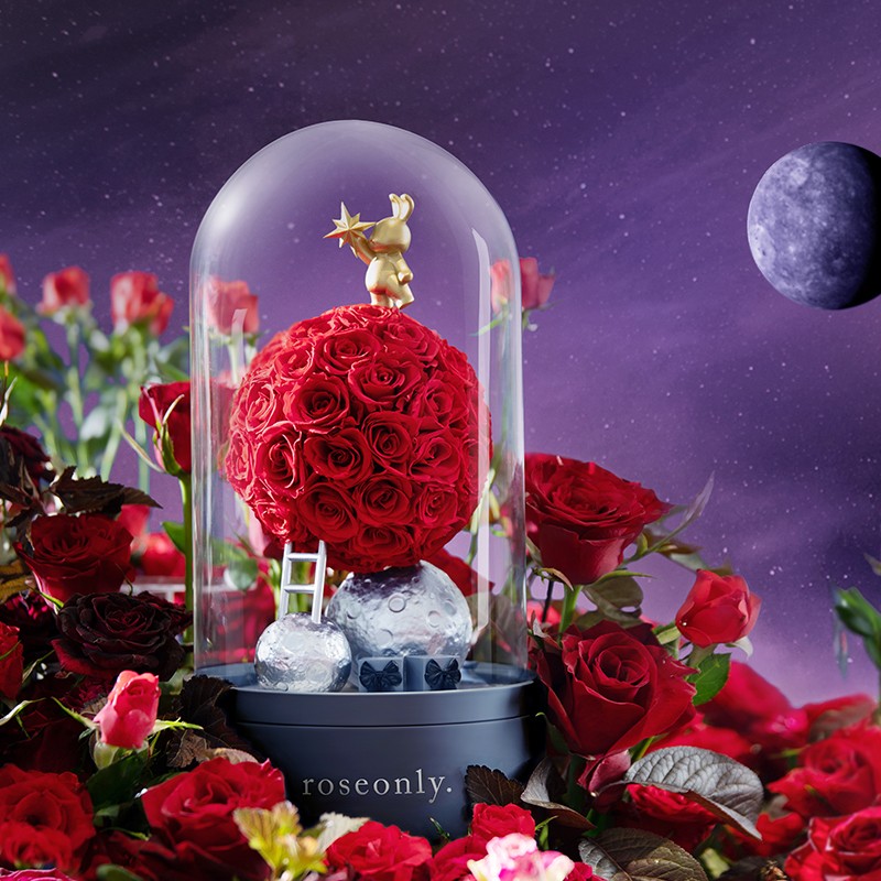 roseonly諾誓 玫瑰星球钟形玻璃罩音乐盒永生花玫瑰花