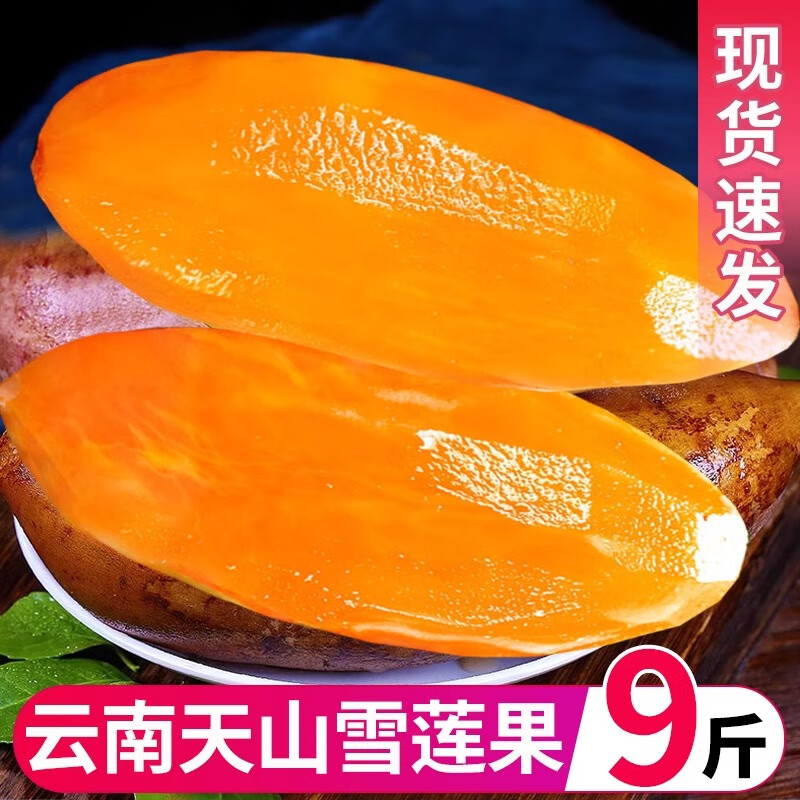 年云南天山雪莲果红泥沙种植当季新鲜水果整箱 9斤 精品果【气柱装】