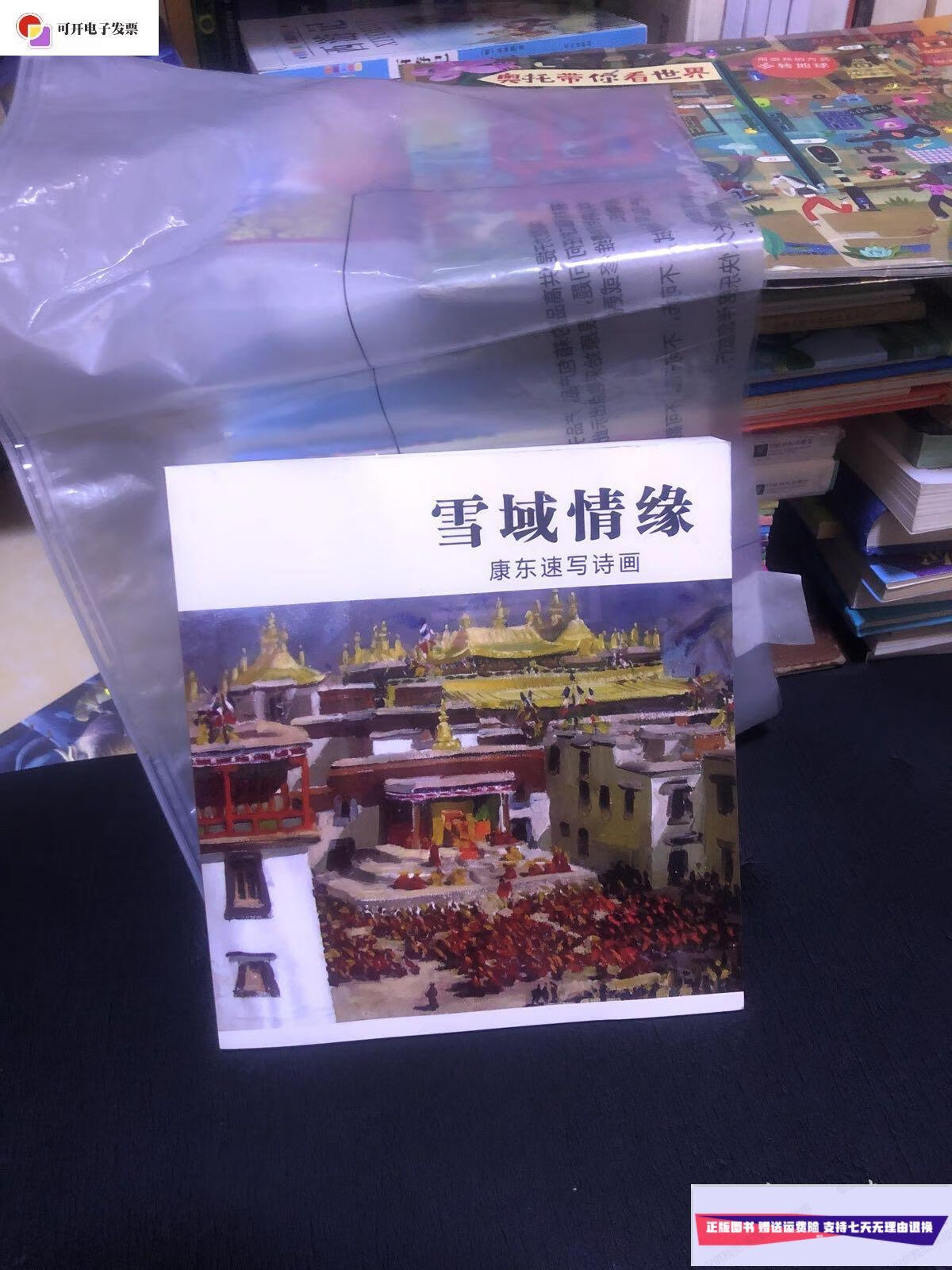 【二手9成新】雪域情缘:康东速写诗画 /康东 本社