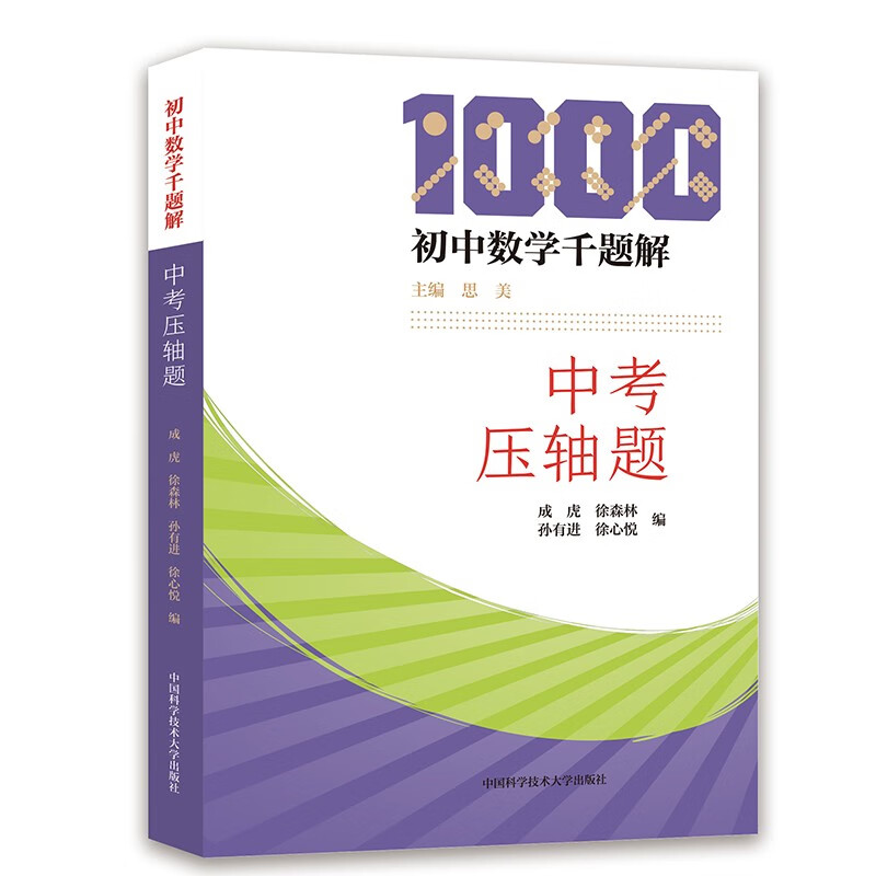 初中数学千题解：中考压轴题