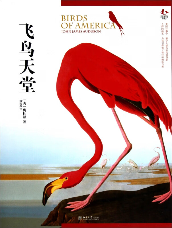 飞鸟天堂(精)