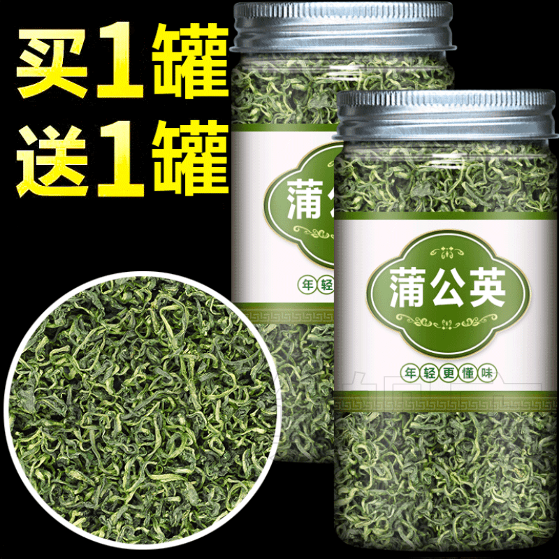 蒲公英茶非男女性茶叶婆婆丁茶苦丁茶500g浦公英 【共2罐】蒲公英茶