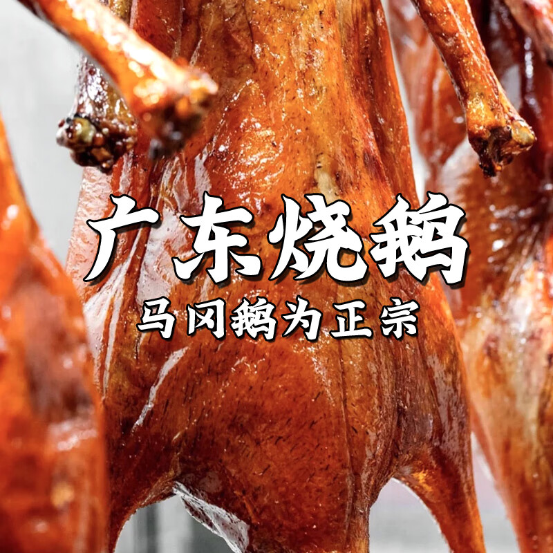 广东烧鹅脆皮正宗马冈鹅烧制广式广州港式深井烧鹅烧鹅肉 整只4斤