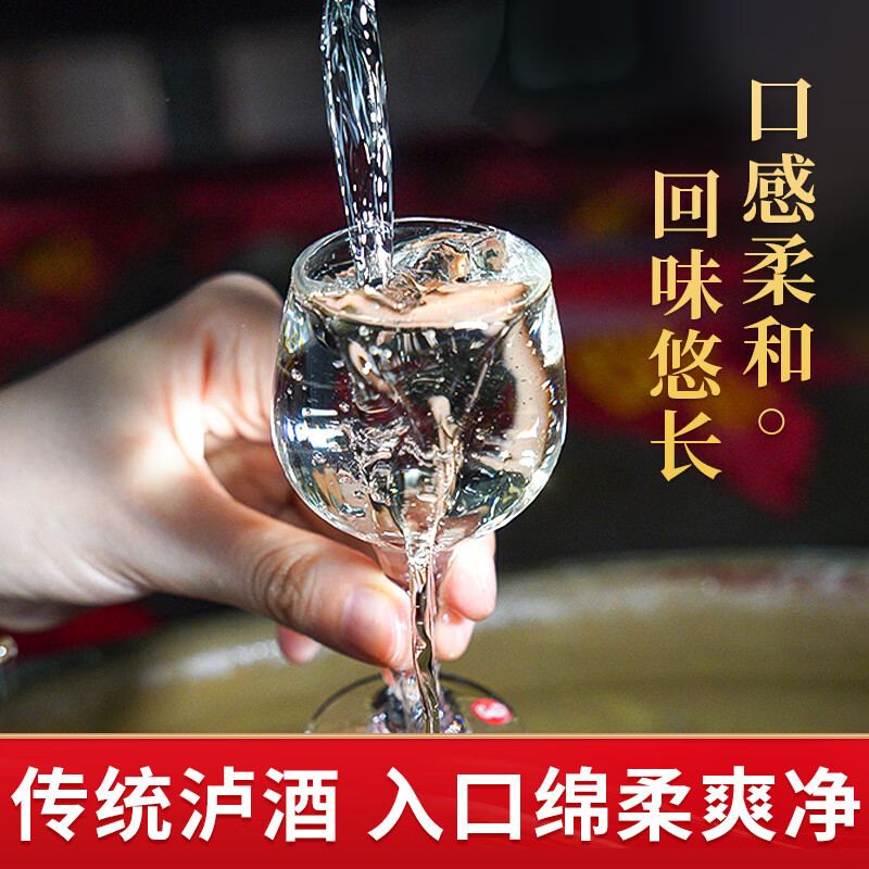 黔立泸州浓香型52度60度10斤大桶装白酒纯粮食高粱酒高度散装泡酒5L 52度 | (5L约10斤) 5年老酒