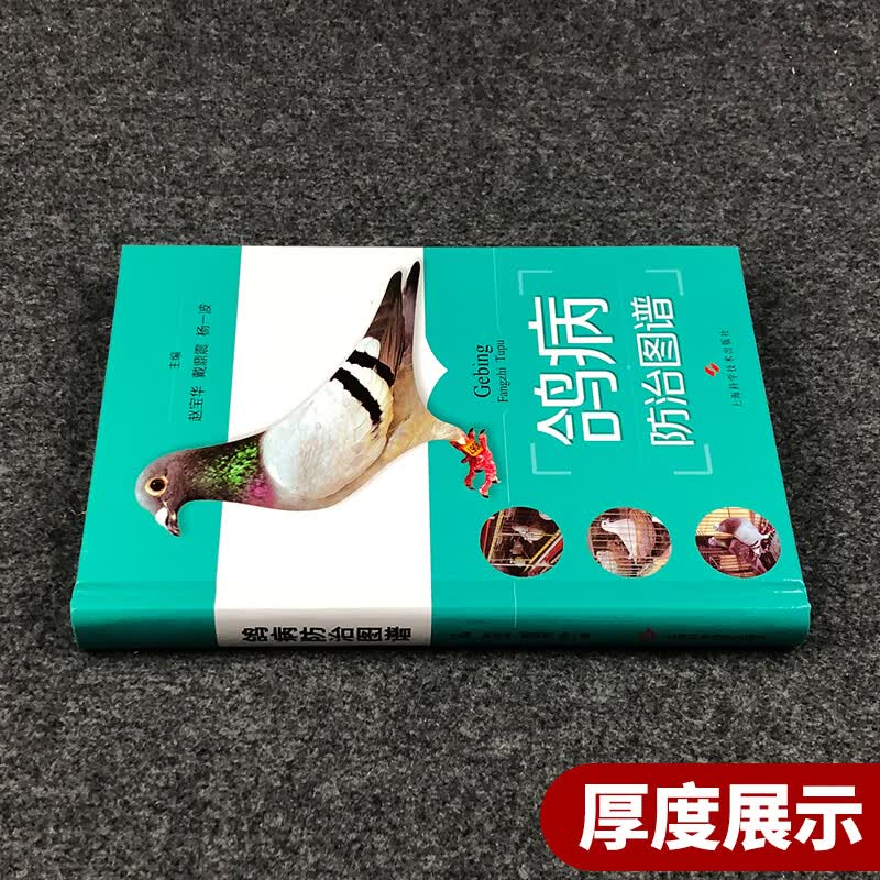 鸽病防治图谱赵宝华鸽子科学饲养技术书常见病教程书鸽病防治护理书肉鸽养殖技巧书籍动物医学兽医学上海科学