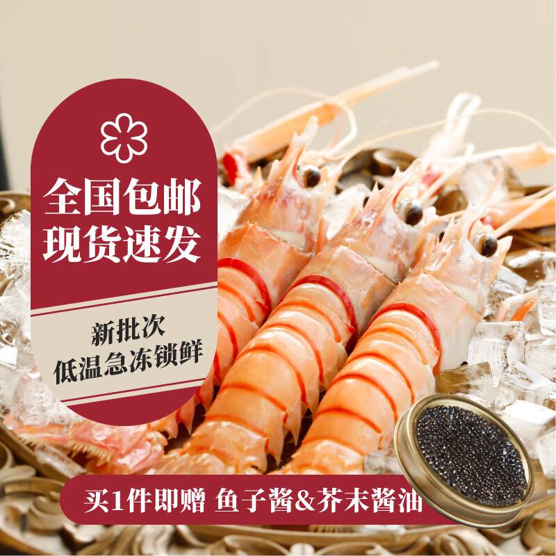 樂(lè )味到（EAT WITH LOVE） 新西蘭進(jìn)口scampi斯干比海鰲蝦 特大蝦海鮮鰲蝦刺身日料小龍蝦 3號2kg 16-20只/kg