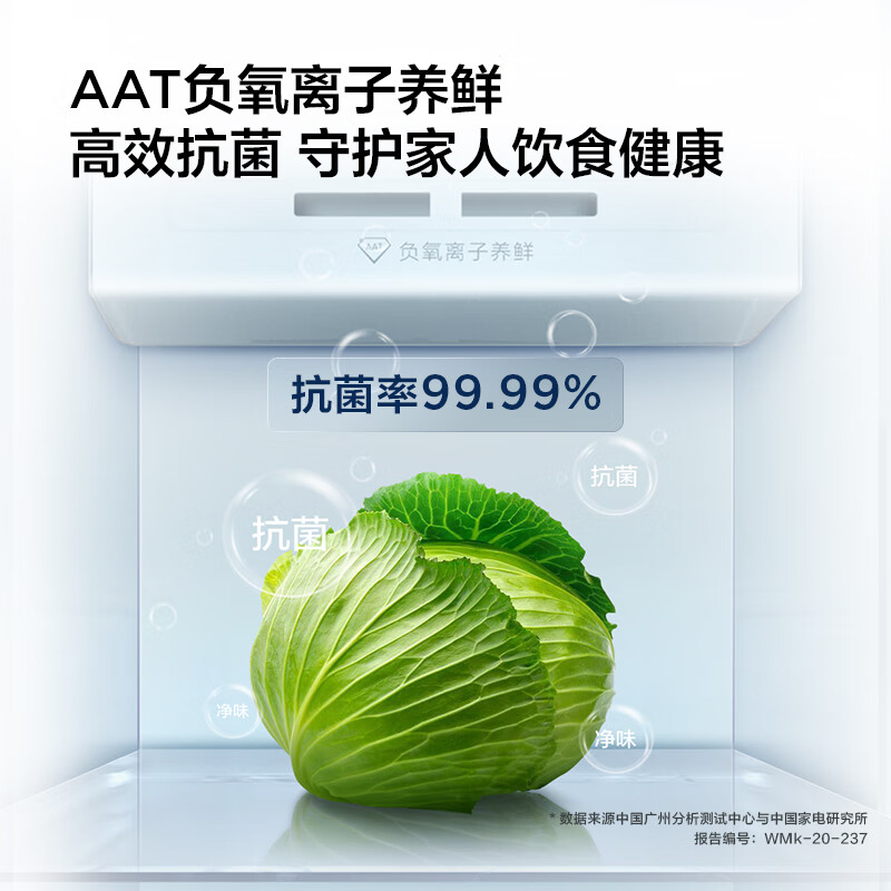 双门冰箱品牌排行前十名：实测这10款高效节能，保鲜持久