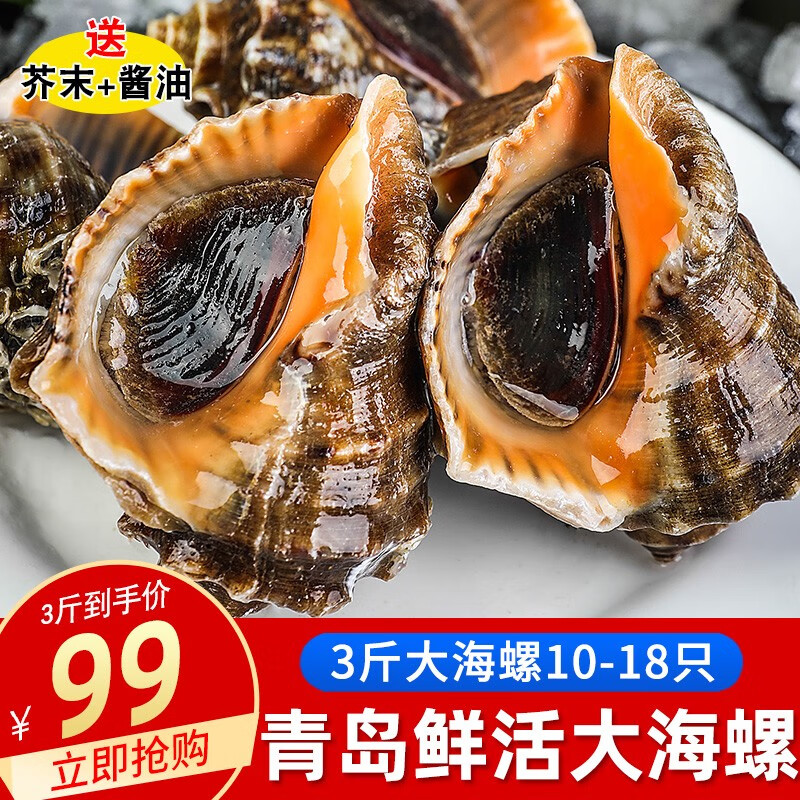 看贝类历史价格|贝类价格历史