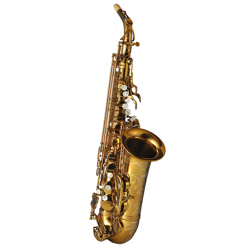 探索历史价格走势，找到最佳购买时机！|京东萨克斯历史价格在哪里找