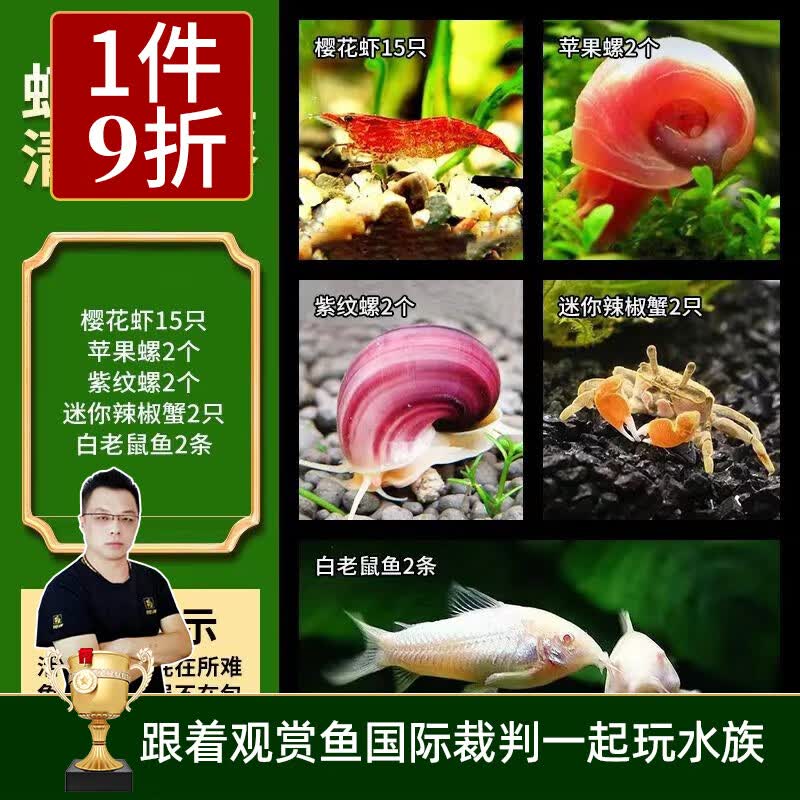 云峰海瑞鱼缸观赏虾 活体虾 鱼缸工具虾除藻 活虾  鱼缸除藻 除藻虾 虾螺蟹鱼清洁装套餐高性价比高么？