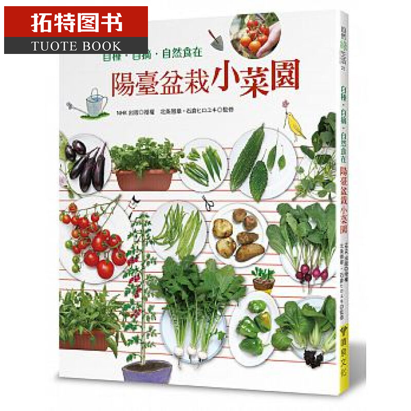 现货 台版 阳台盆栽小菜园：自种?自摘? 自然食在 18 喷泉文化馆