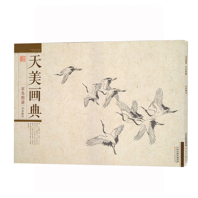 百鸟图谱 孙其峰 禽鸟画法形体结构画法步骤解析 花鸟画白描稿 国画