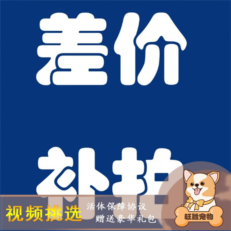 宠怜岛下单之前请联系在线客服下单 旺胜宠物为你服务 宠物级套餐一