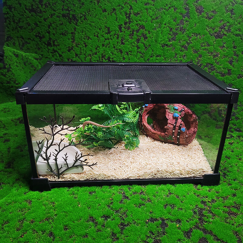 尾巴日记(taildiary)宠物蛇饲养套装爬虫箱雨林缸造景紫陆龟蝎蜥蜴