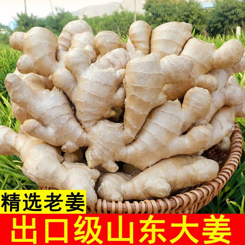 山东新鲜大姜调味大姜风干姜农家大块老黄姜月子姜生鲜姜 3斤大块姜