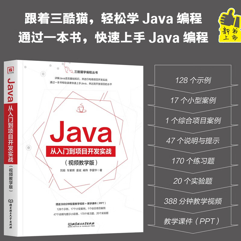 Java从入门到项目开发实战：视频教学版
