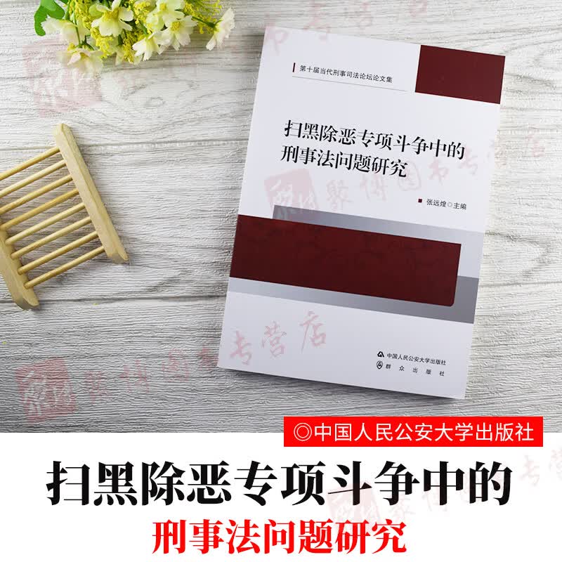 2020书扫黑除恶专项斗争中的刑事法问题研究张远煌著第十届当代刑事司法论坛论文集 典型性刑法问题涉黑