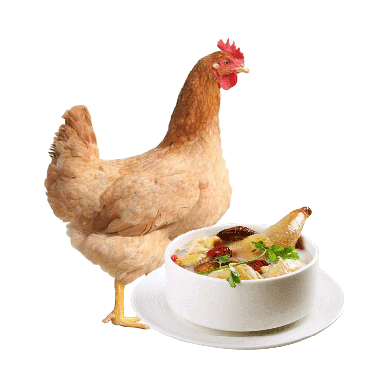 芮瑞品牌-新鲜健康的鸡肉购买指南|查询鸡肉历史价格走势