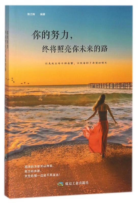 你的努力终将照亮你未来的路