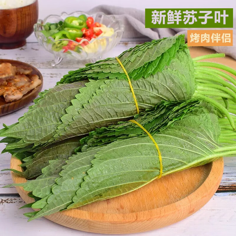 香料去腥食材 韩国烤肉鲜紫苏子叶 顺丰 100g 约20-30片 烤肉紫苏叶