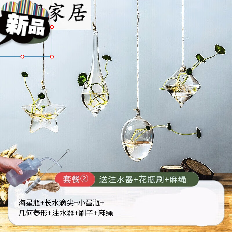 懸掛植物 水培植物玻璃瓶花瓶懸掛壁掛吊掛綠植式小綠蘿掛瓶掛墻裝飾上貼墻吊瓶8 套餐2(海星+長水滴尖 +小蛋+幾何菱形)