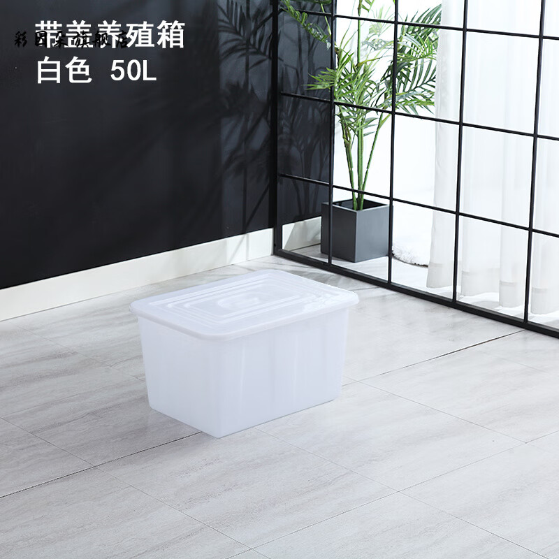 窑百绅猴大水桶加厚大号塑料周转长方形储水箱水产养殖养鱼养龟水箱泡