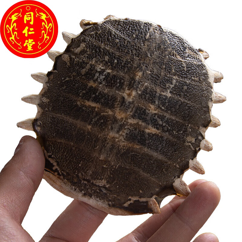 鳖甲中材250g生鳖甲鳖甲壳甲鱼壳团鱼壳鳖甲粉鳖盖子新货
