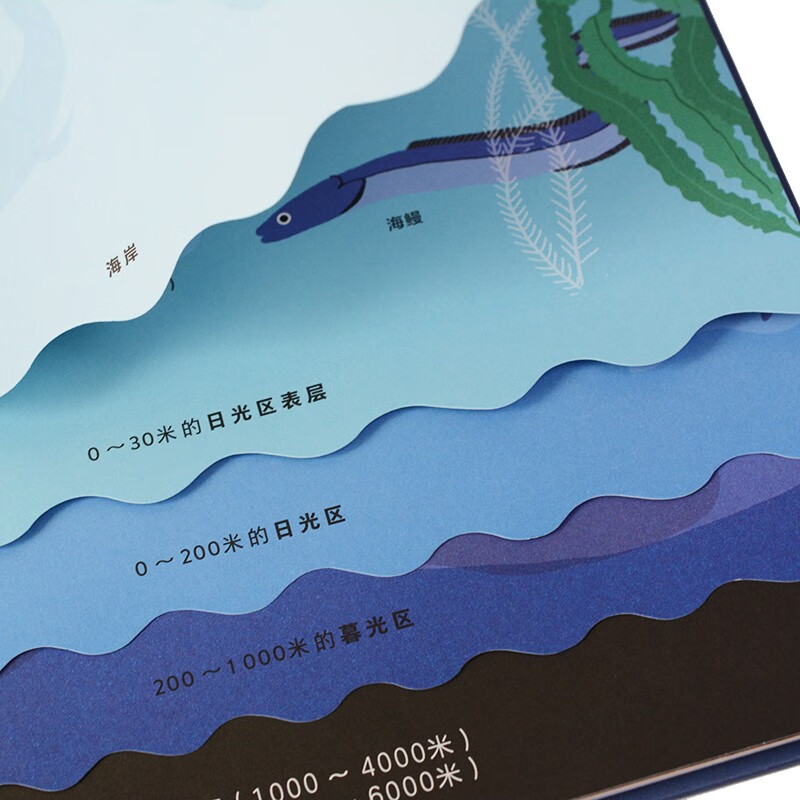 海洋的奥秘（奇想国童书）全景式呈现海洋风貌，包含海洋生物、生态系统，激光镂空、翻翻、拉页和层次设计暑假阅读暑假课外书课外暑假自主阅读暑期假期读物
