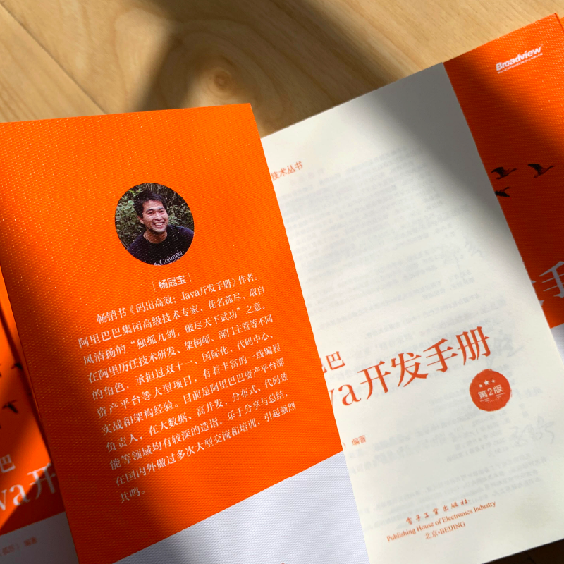 阿里巴巴Java开发手册（第2版）(博文视点出品)