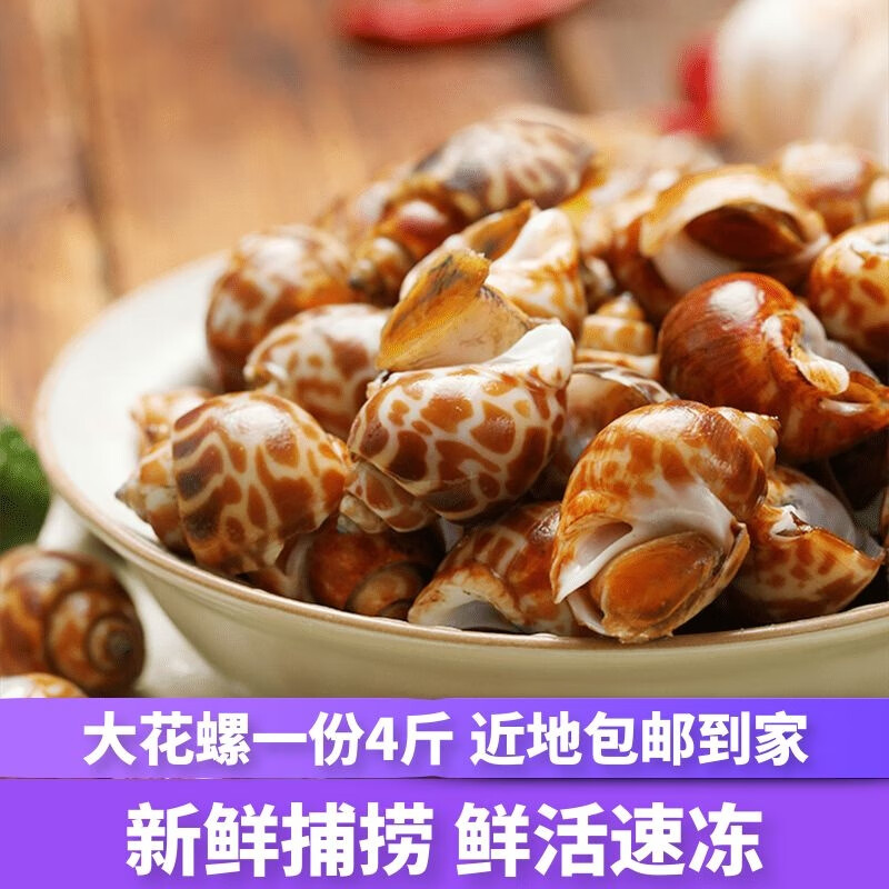 海头海州湾 大花螺鲜活速冻袋装海鲜水产南风螺冷冻东风螺海猪螺海螺