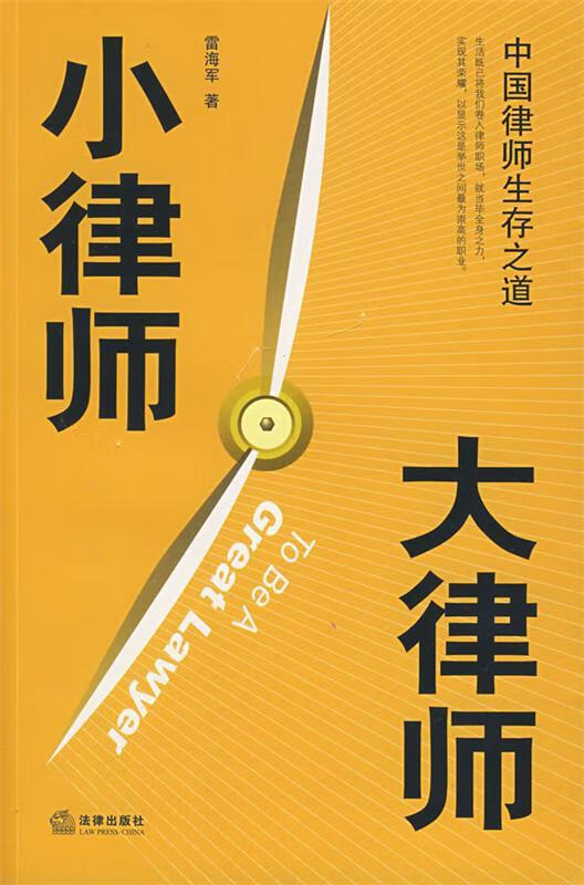 小律师 大律师【正版好书，下单速发】