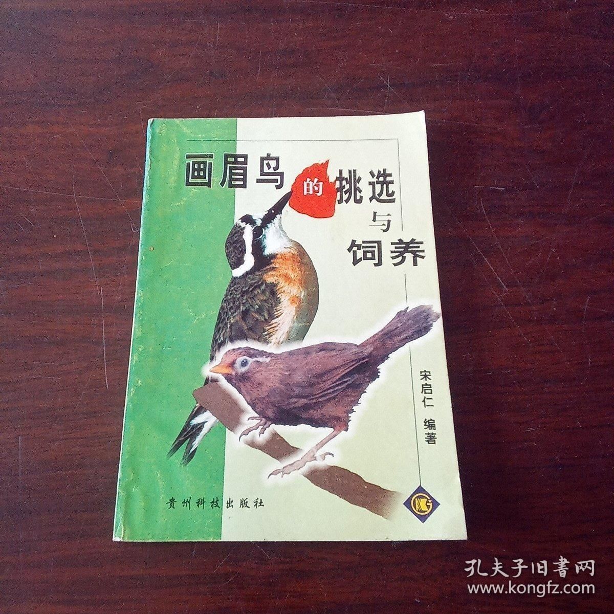 全新书籍 画眉鸟的挑选与饲养_宋启仁编著宠物书
