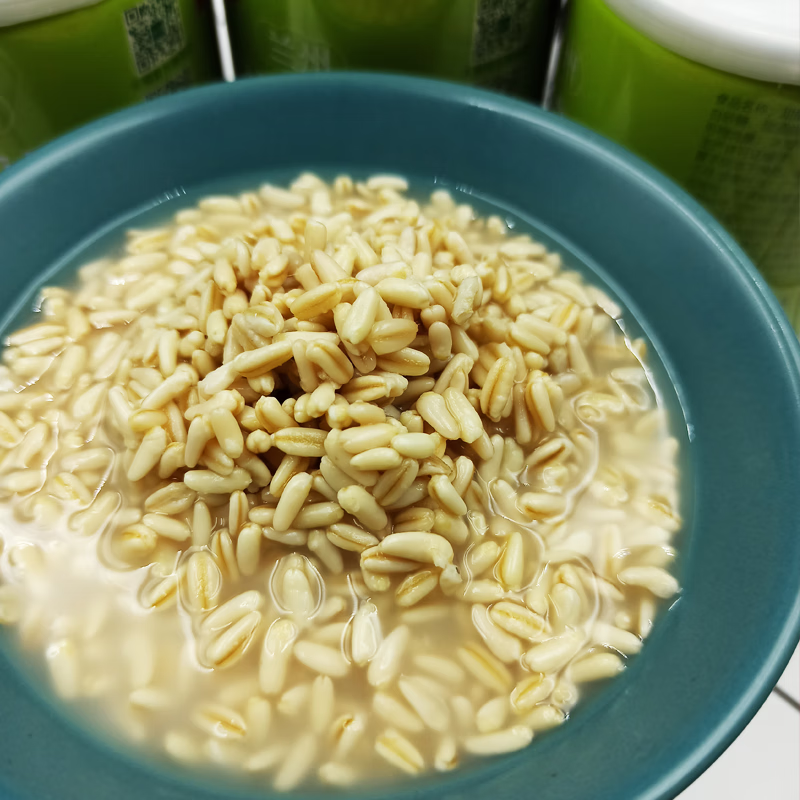 蜜叫甘肃兰州特产陇萃堂燕麦小吃甜醅子罐装即食临夏酒胚子礼盒8罐