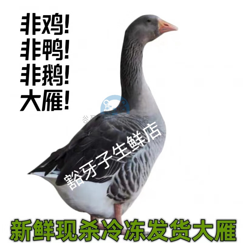 查干湖整只大雁鹅查干湖周边农家散养现杀冷冻净重大雁肉送礼非鹅鸭