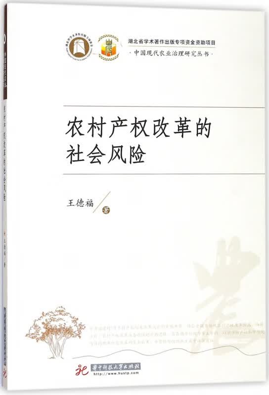 农村产权改革的社会风险/中国现代农业治理研究丛书