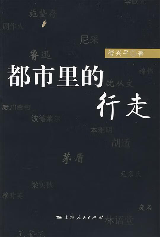 都市里的行走 管兴平 著