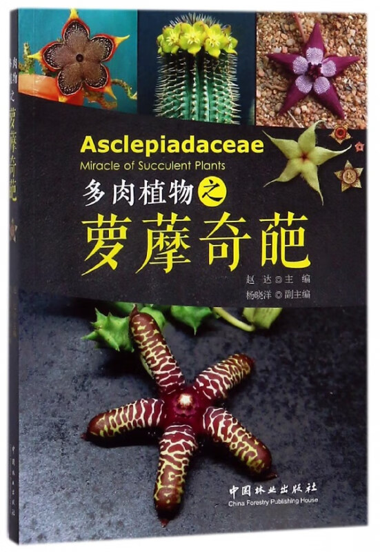 多肉植物之萝藦奇葩