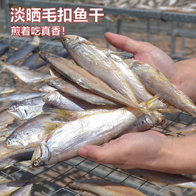 山东青岛一卤鲜淡晒毛扣鱼干不咸黄尖子海鱼干5斤 3-4成干不咸毛扣鱼