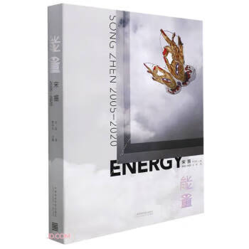 能量 宋振著,管怀宾【书】