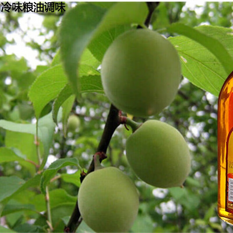 哺食旺云南特产青梅酒梅子酒洱宝大理情酒400mlx2瓶起