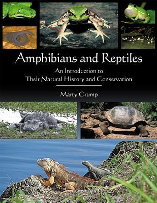 预订amphibians and reptiles: an introduction to thei