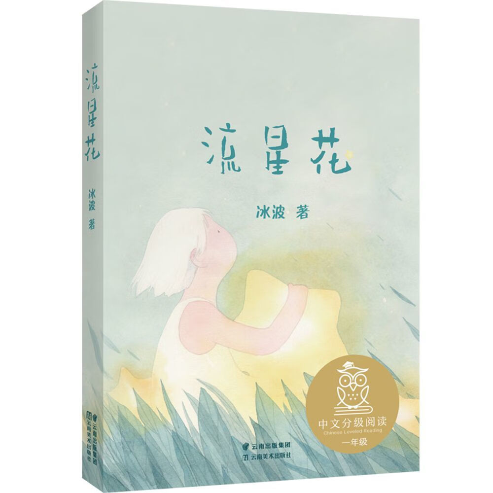 中文分级阅读一年级 课外读物 儿童绘本 儿童文学 果麦出品 流星花 无