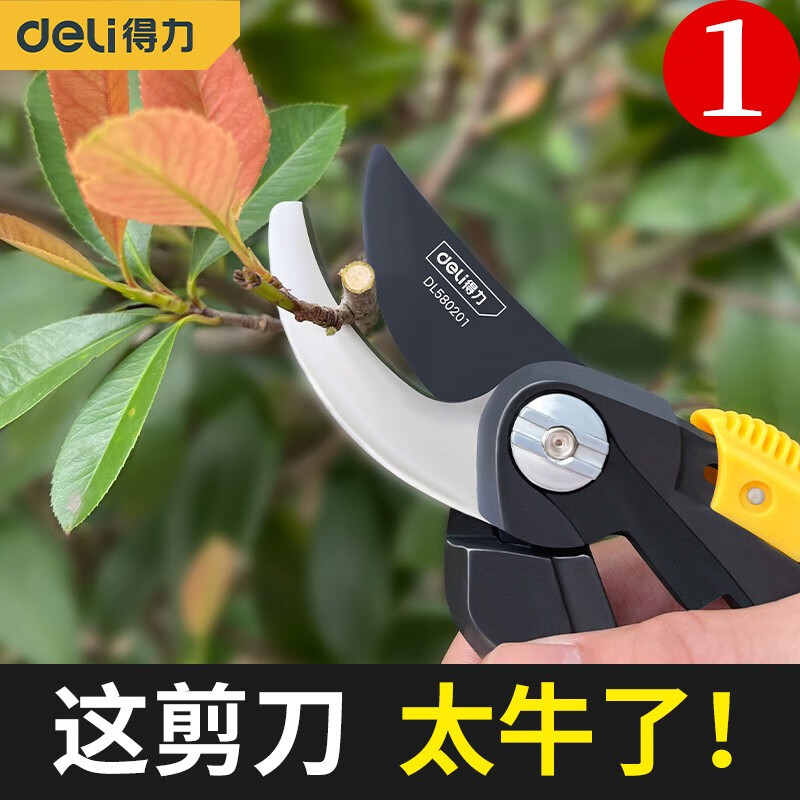 园艺剪刀修枝剪果树修枝剪枝树枝剪花剪园林专用修花卉剪手动 