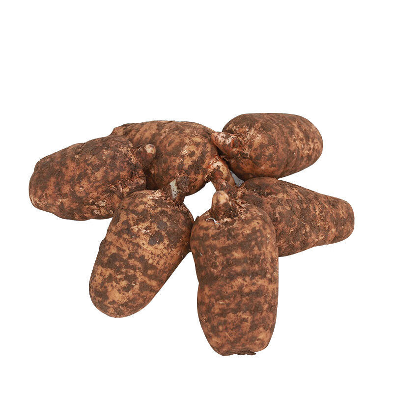 鲜天麻新鲜仿野生天麻500克新鲜天麻泡酒药材养生滋补 天麻生的 新鲜