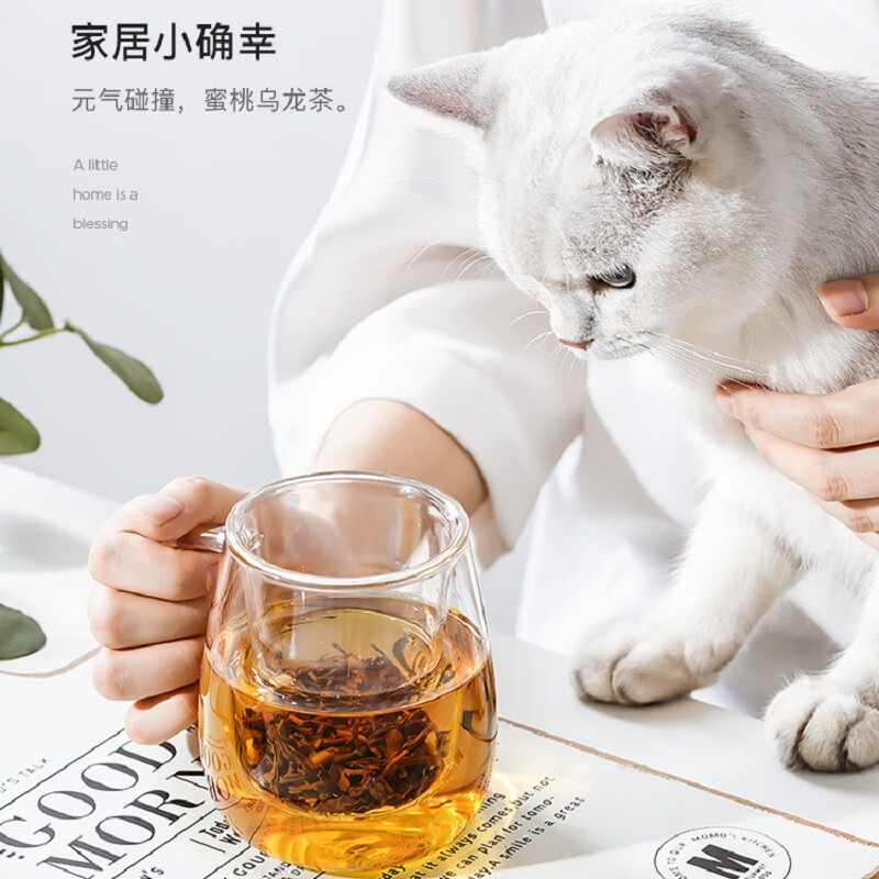 玻璃杯家用茶水分离泡茶杯网红女透明带把花茶水杯子 蘑菇三件杯--不带口