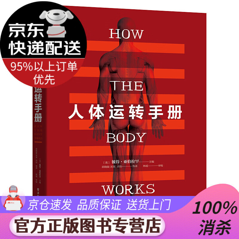 【送货上门】人体运转手册