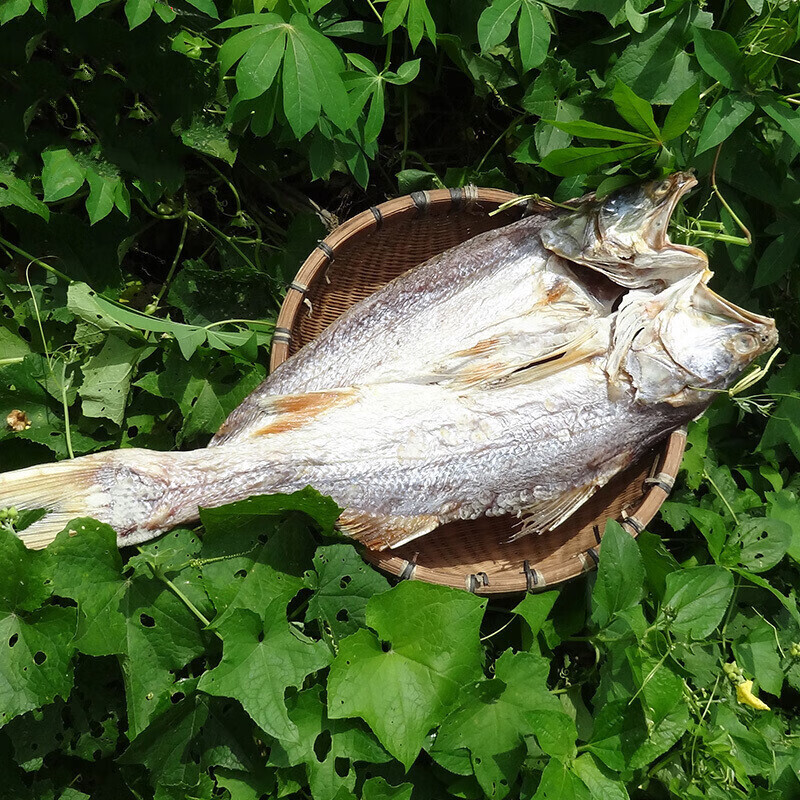4斤马友鱼干 渔民自晒深海大咸鱼干海南特产马鲛鱼干海鲜水产干货