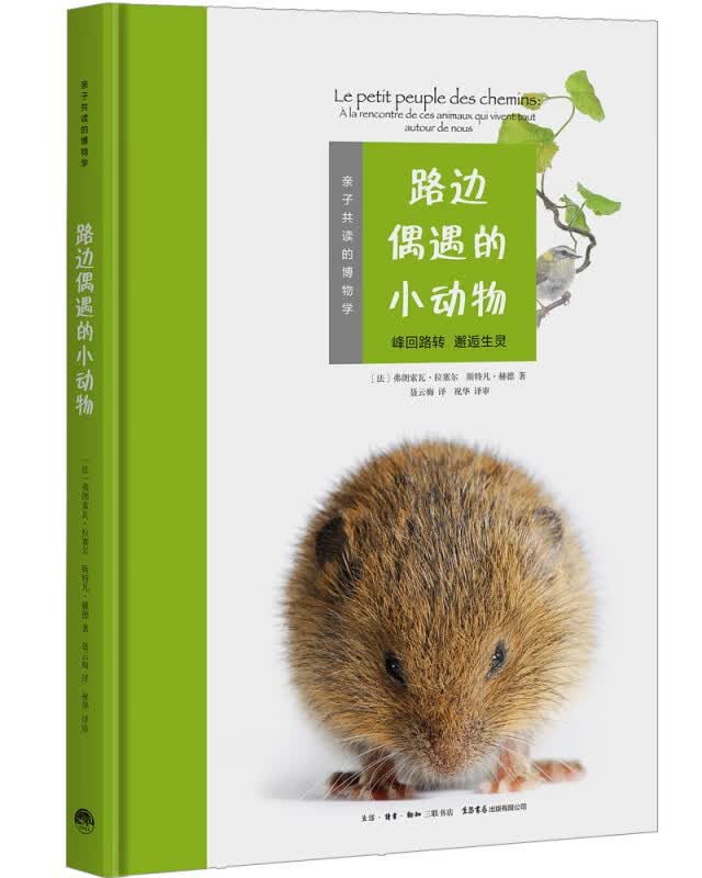 路边偶遇的小动物